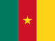 Камерун flag