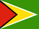 Гайана flag