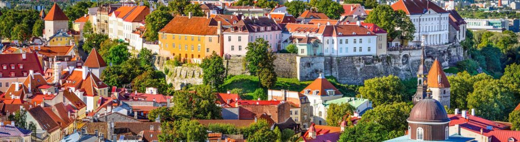 Electronic Money Institution (EMI) License in Estonia under EU and Finantsinspektsioon Regulation Hero Image