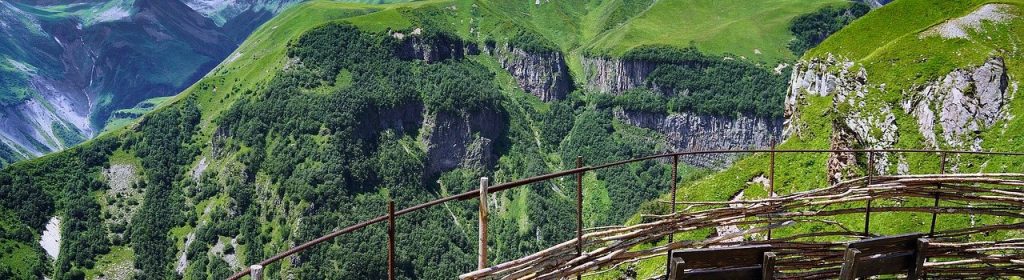 Licencia del sistema de pago de Georgia